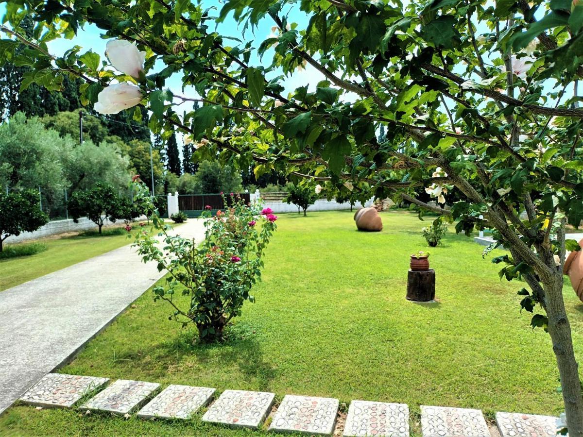 Zenia Pelion Garden House Villa Platanidia Buitenkant foto