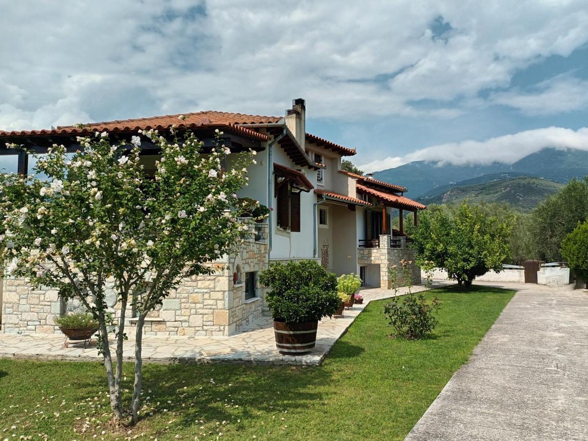 Zenia Pelion Garden House Villa Platanidia Buitenkant foto